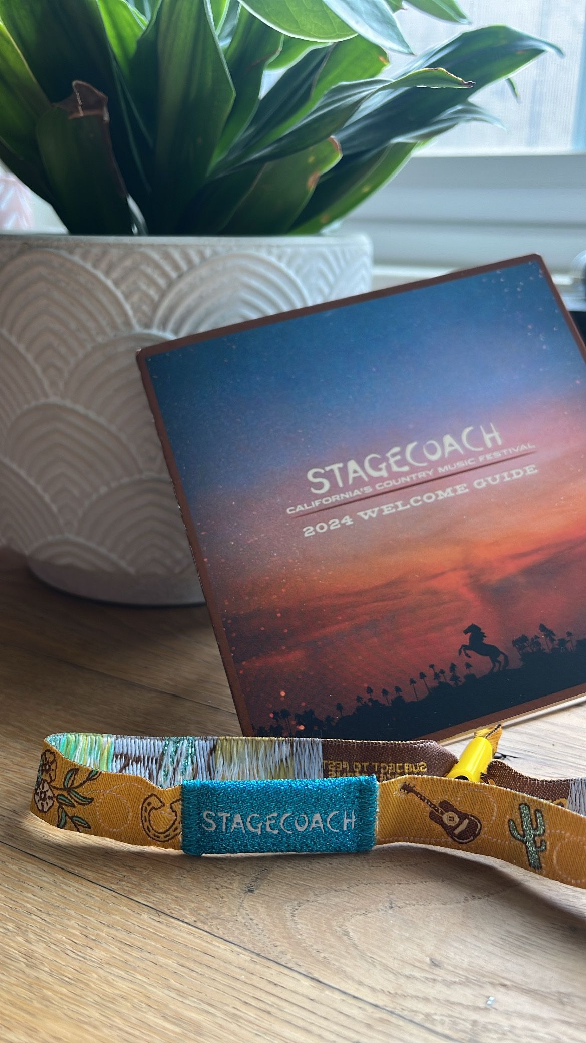 Stagecoach GA Pass (SOLD OUT)