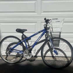 Diamondback Edgewood LX Women’s Comfort Bike with Picnic Basket