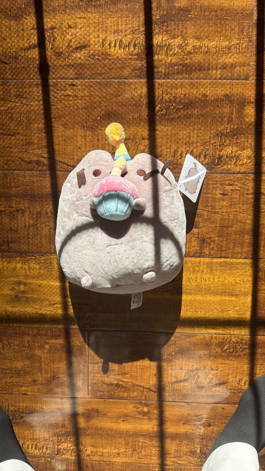 Pusheen Cat 8’’ Birthday Cake