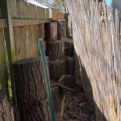 Free seasoned firewood