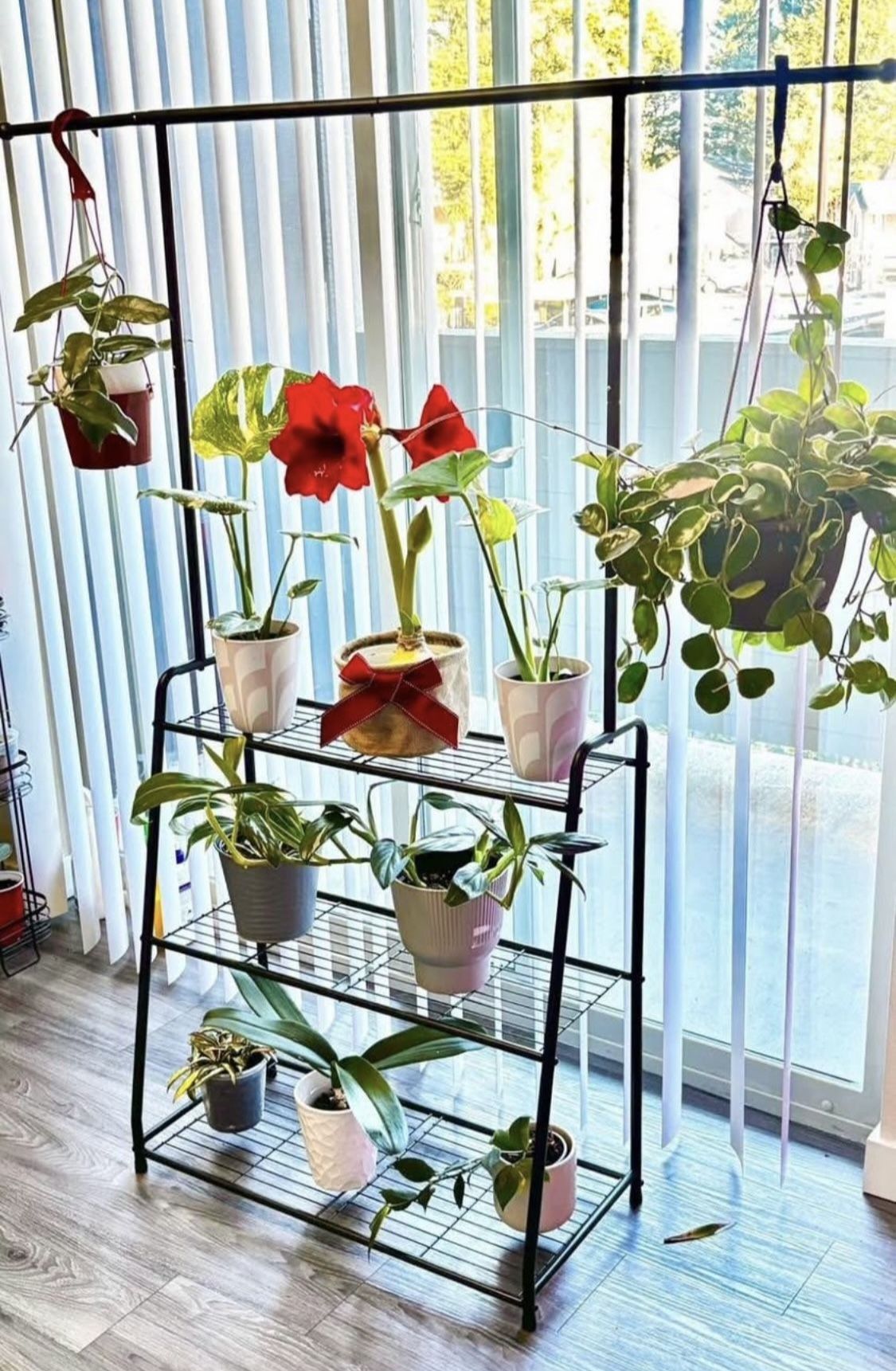 New Plant Stand