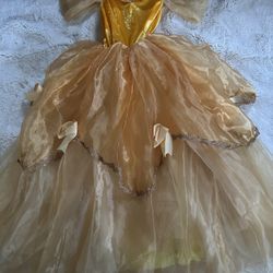 Beauty Dress Size 12/13