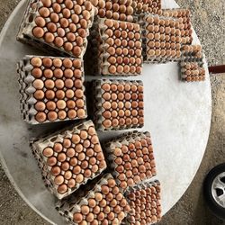 Huevos Frescos 10x$30$$3