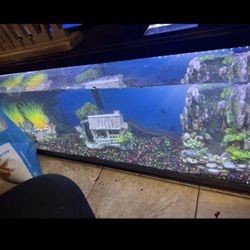 50 Gallon Fish tank 