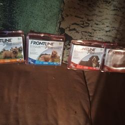 Frontline Flea Medication 