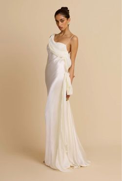 Arcina Ori Helena Dress in XS