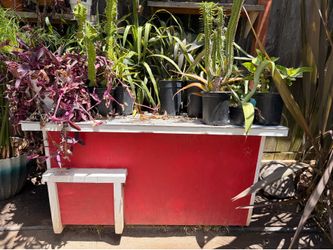 Tortoises enclosure or Stylish Storage box or Dog House