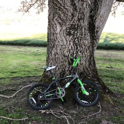 Kids Bike 