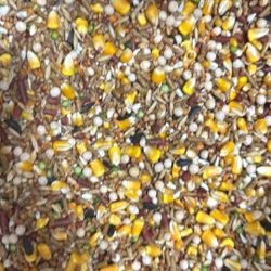 Mix Para Gallinas Pinedoras