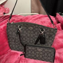 Coach Bag With Wallet