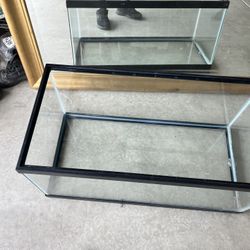 Fish Tank
