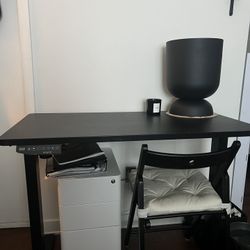 Standing Black Electric Desk $100