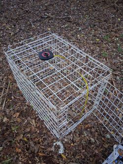 Cage
