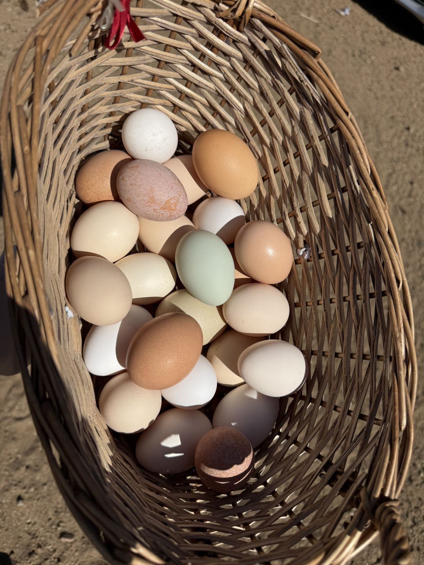 Eggs