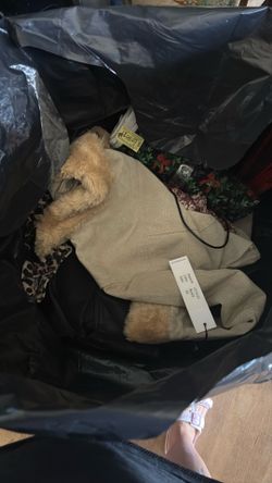 Free - Spring Cleaning