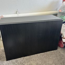 Shelf Unit with Door (Ikea)