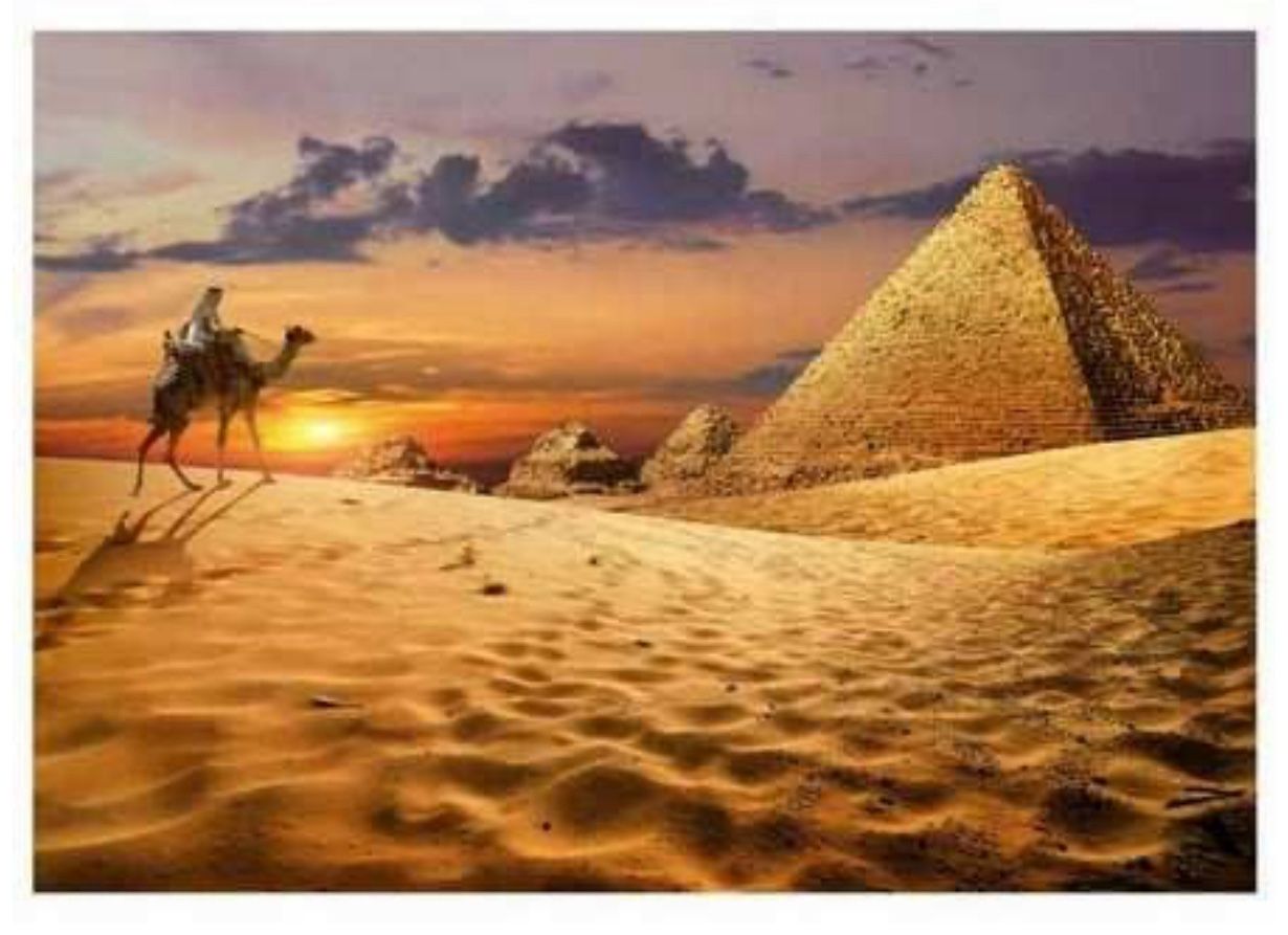 CAMEL in the DESERT1000pc EDUCA Super Deluxe Jigsaw Puzzle 19643