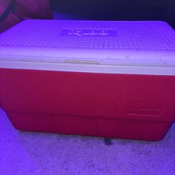 Igloo Ice Chest (retro)