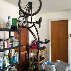 Trailer Bike