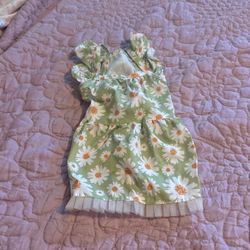 Size Small Pet Dress