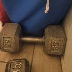 Dumbbell 65