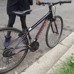 Adult Bike Canadale 