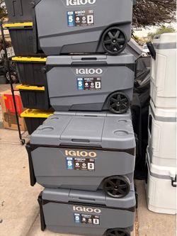 Igloo 90QT Max Cold Cooler