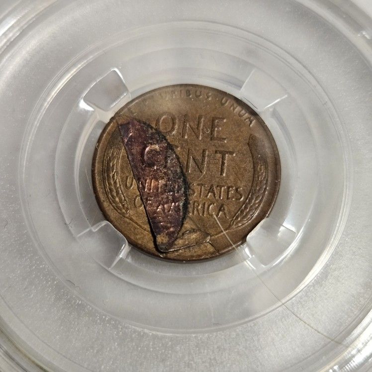 Extremely Rare Error Coin 1/1