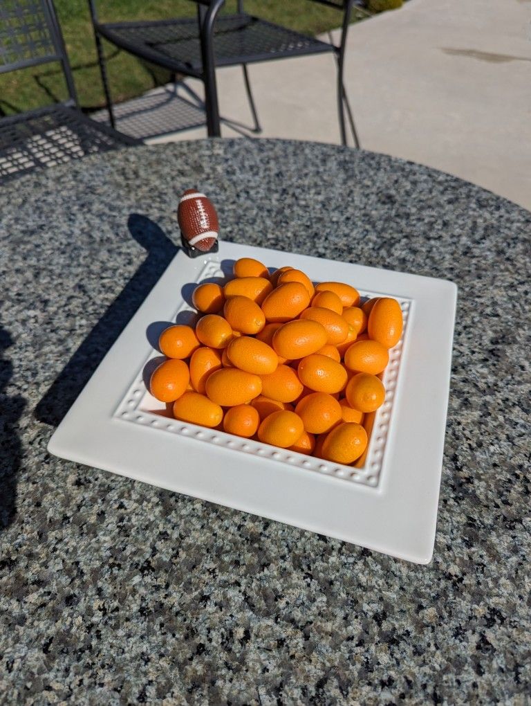 Kumquats By The Pound; Picked Daily, Glendora