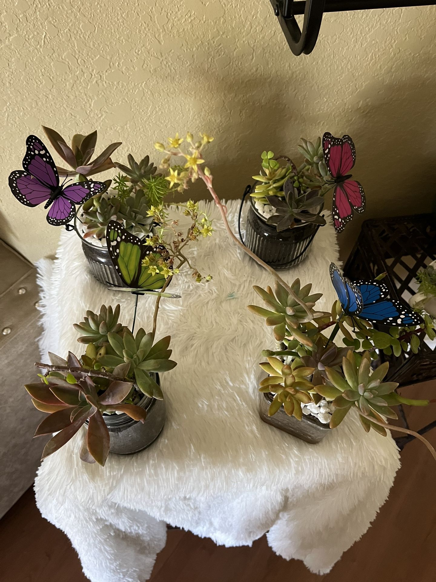 Beautiful Mothers Day Arrangements 🦋