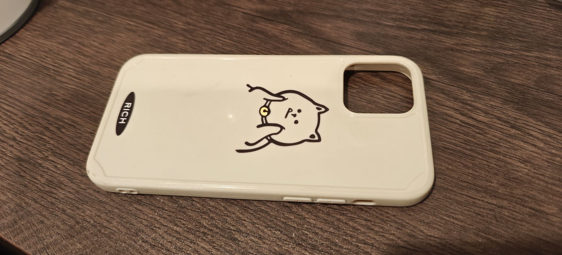 iPhone 12 pro phone case