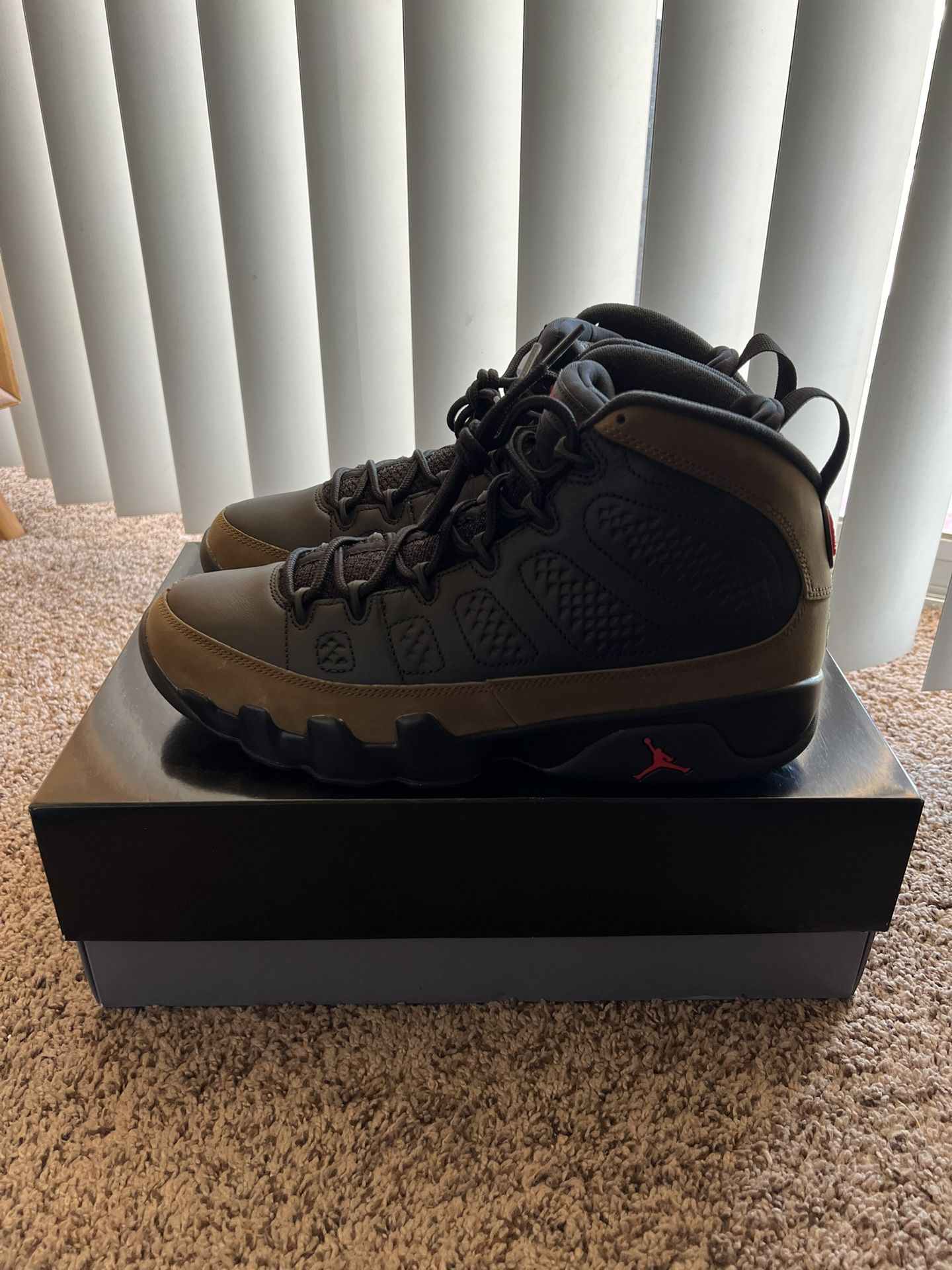 Jordan Retro 9 Olive DS SZ 10.5 