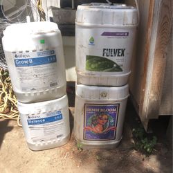 Nutrient  To Grow Plats