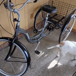 Schwinn 26inch 3 Wheeler Like New Brand New White Wall Tires Bike Is In Great Shape