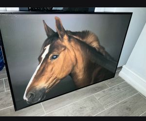 Horse Photograph Framed 24x36 Moving !