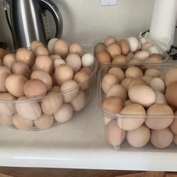 Eggs