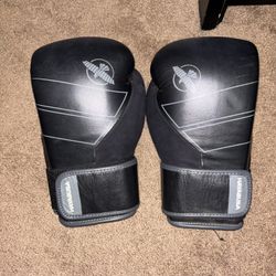 Hayabusa Boxing Gloves 
