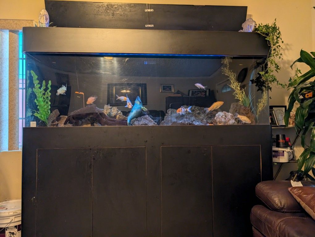 Fish Tank 120 Gallon Aquarium 