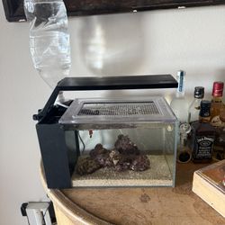 3.8 Gallon Fish Tank