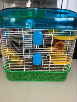 Roborovski’s Dwarf Hamster (1 male)