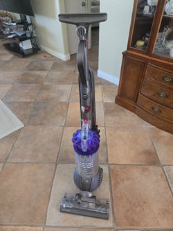 Dyson dc animal