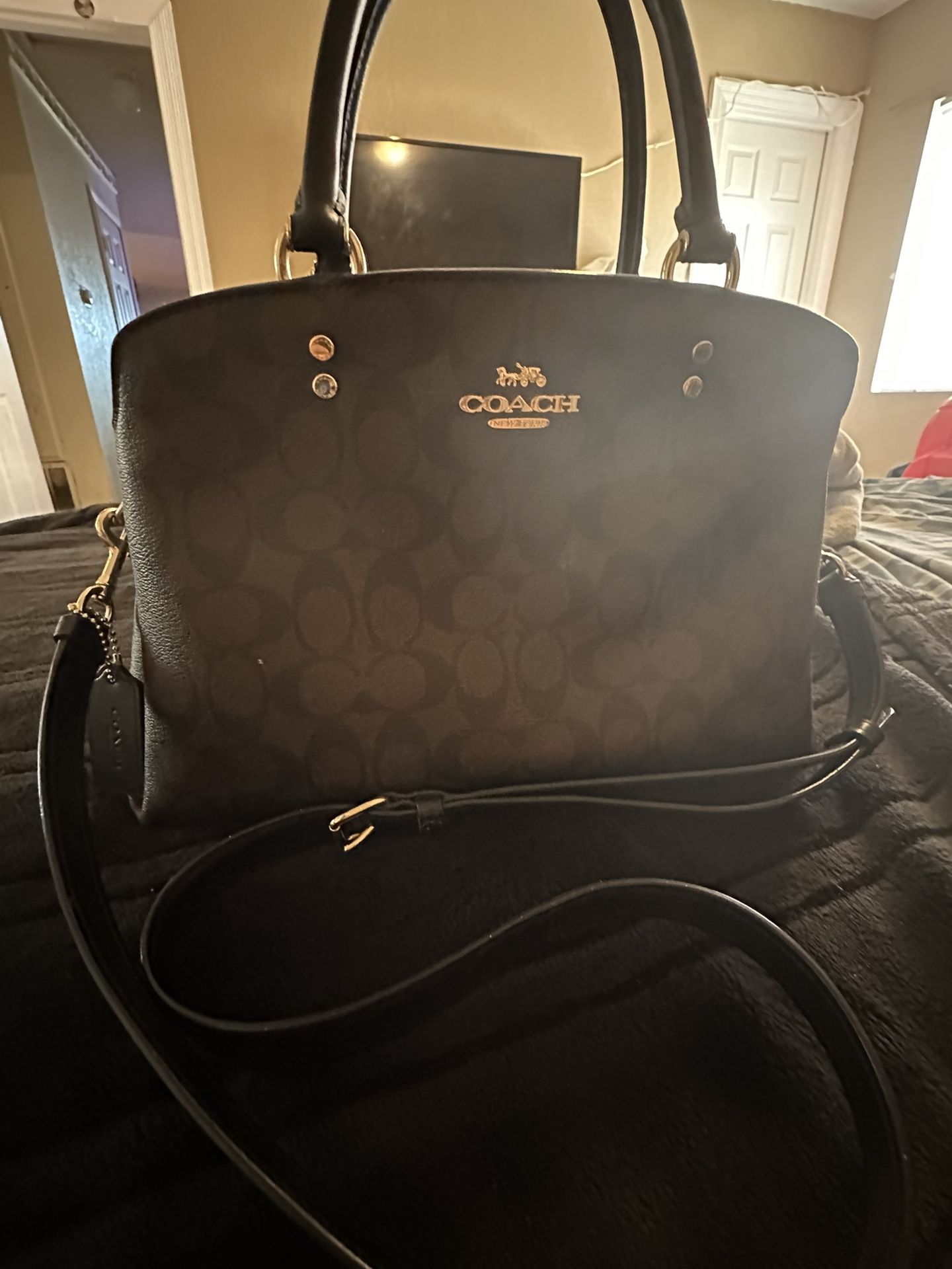 Coach Bags