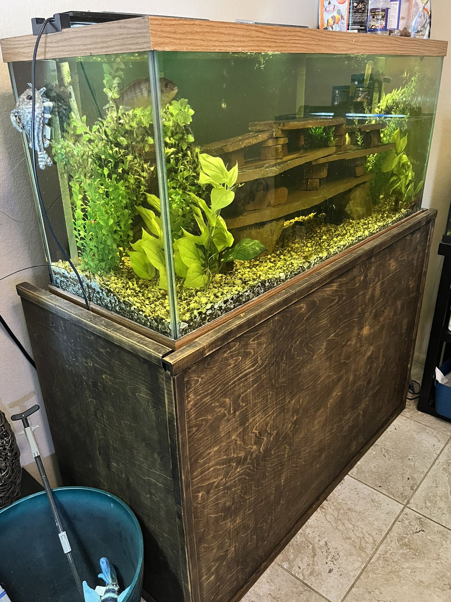 75 Gallon Fish Tank / Aquarium  With Custom Stand