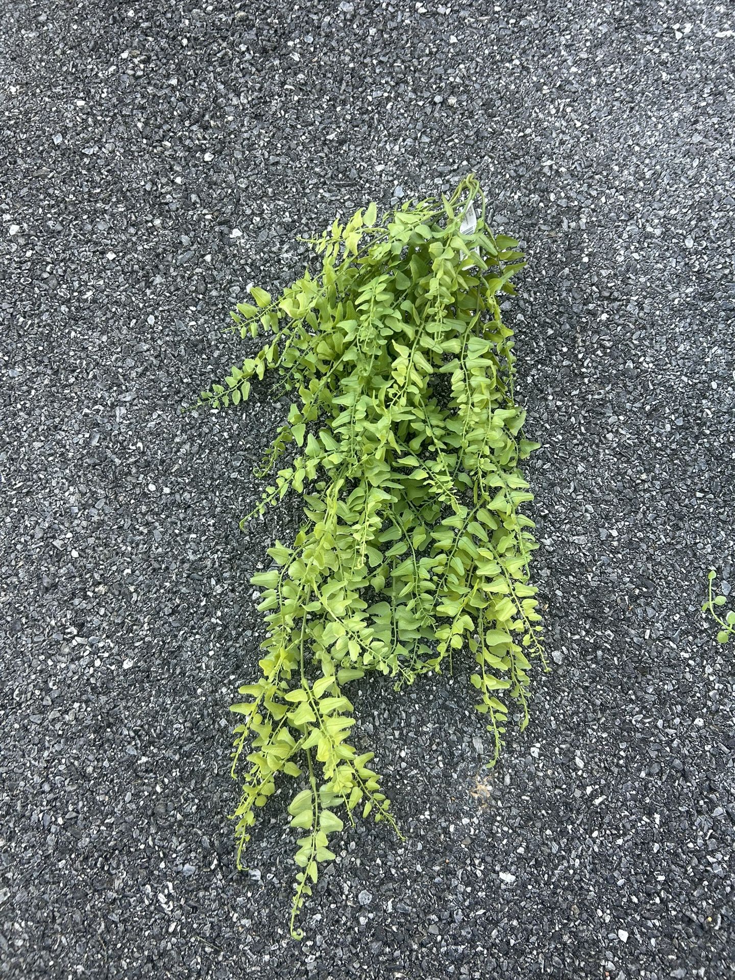 Artificial Hanging Plant