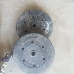 Two 25lb Weights