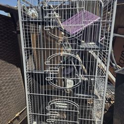 Large Bird/rodent Enclosure 