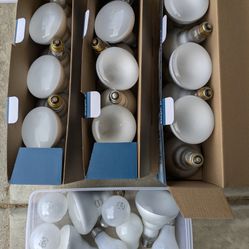 Satco Light Bulb 65w & GE 75w Soft white Bulb