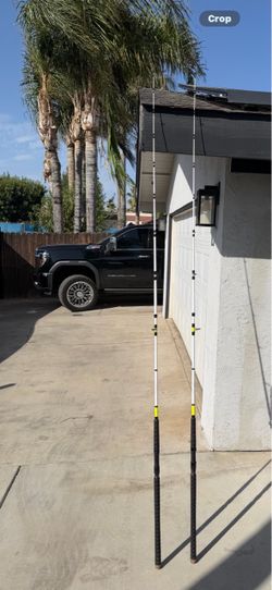 Catfish spinning rod new
