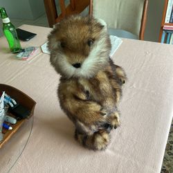Rare Collectible GEMMY Gopher $15.00