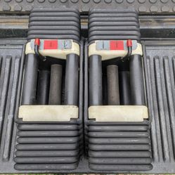 Powerblock 1090s Adjustable Dumbbells